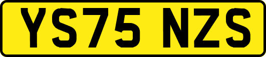 YS75NZS