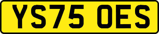 YS75OES