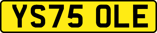 YS75OLE