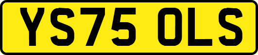 YS75OLS