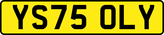 YS75OLY