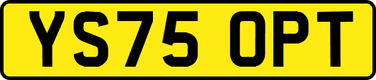 YS75OPT
