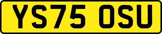 YS75OSU