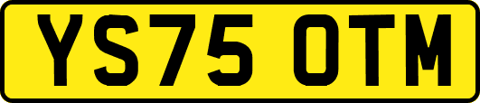 YS75OTM