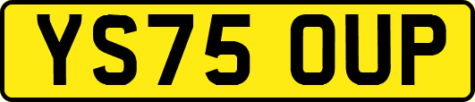 YS75OUP