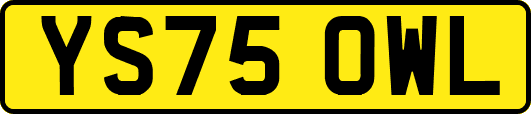 YS75OWL