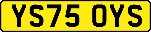 YS75OYS