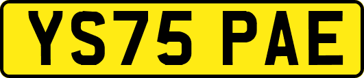 YS75PAE