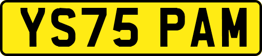 YS75PAM