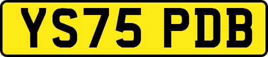 YS75PDB