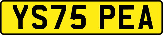 YS75PEA