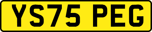 YS75PEG