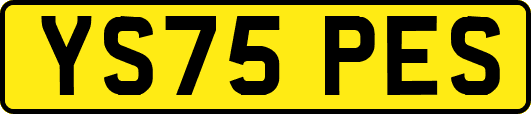 YS75PES