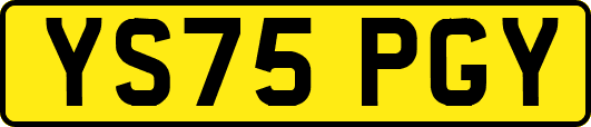 YS75PGY