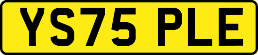 YS75PLE
