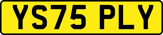 YS75PLY