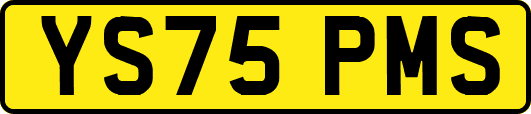 YS75PMS