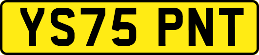 YS75PNT