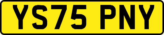 YS75PNY