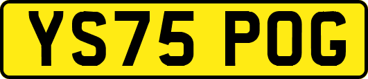 YS75POG