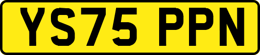 YS75PPN