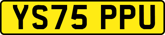 YS75PPU