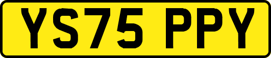 YS75PPY