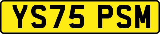 YS75PSM