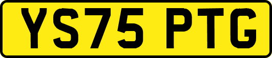 YS75PTG