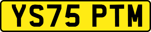 YS75PTM