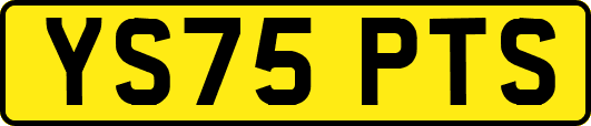 YS75PTS