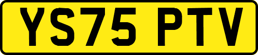 YS75PTV