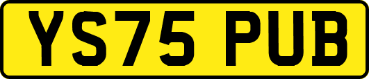 YS75PUB
