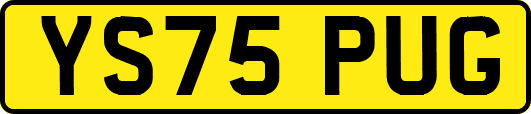 YS75PUG