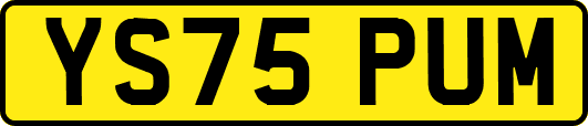 YS75PUM