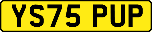 YS75PUP