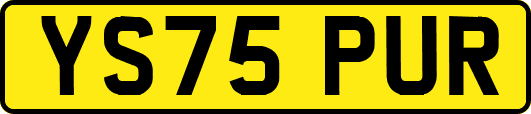 YS75PUR