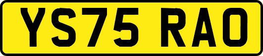 YS75RAO