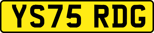 YS75RDG