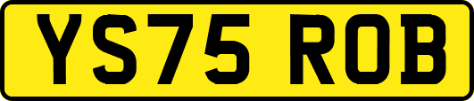 YS75ROB
