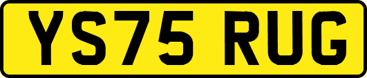 YS75RUG