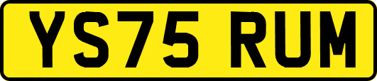 YS75RUM