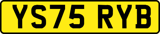 YS75RYB