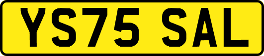 YS75SAL