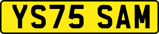YS75SAM