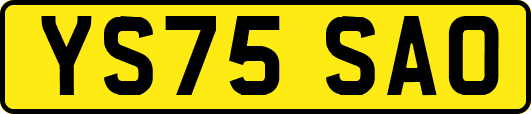 YS75SAO