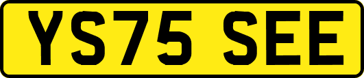 YS75SEE