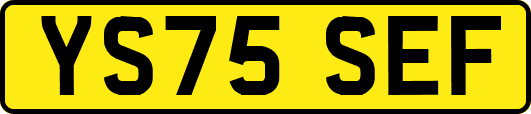 YS75SEF