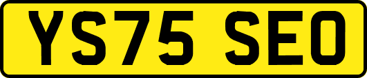 YS75SEO