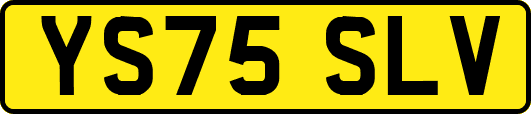 YS75SLV